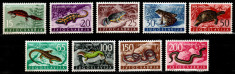 Iugoslavia 1962, Mi #1007-1015**, fauna, reptile si amfibieni, MNH, cota 25 ?! foto