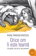 Orice om ii este teama. Un partid, doi ani si trei premieri (ebook)