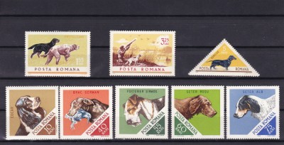 ROMANIA 1965 LP 620 CAINI DE VANATOARE SERIE MNH foto