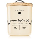 DW Home Farmhouse Cinnamon Apple &amp; Oats lum&acirc;nare parfumată 241 g