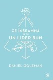 Ce &icirc;nseamnă să fii un lider bun - Paperback brosat - Daniel Goleman - Curtea Veche