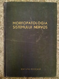 Morfopatologia Sistemului Nervos - Colectiv ,552981, Medicala