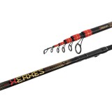Bologneza Xerxes TeleFloat 3,90 M / 30 gr. - Delphin