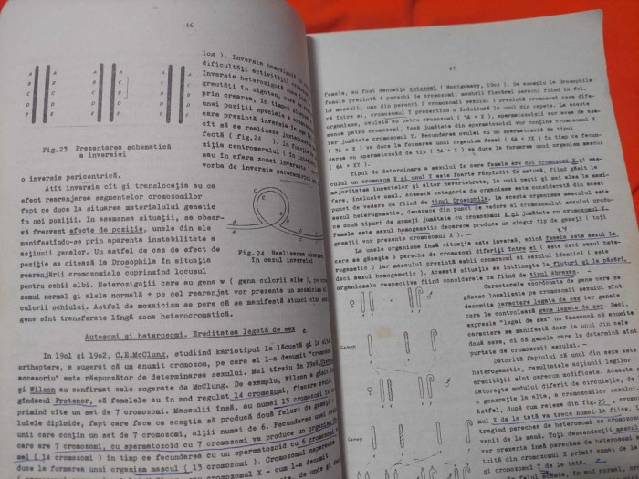 Curs de GENETICA ANIMALA 1976-cONF.dR.iNG.STEFAN POPESCU VIFOR-Facultatea de ZOOTEHNIE-Institutul Agronomic ,,N.BALCESCU,,Bucuresti,227 pag.