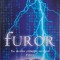Furor &ndash; Markus C. Schulte von Drach
