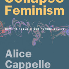 Collapse Feminism: How to Reclaim Our Future Online
