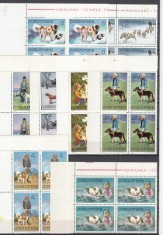 ROMANIA 1982 LP 1052 CAINELE PRIETEN AL OMULUI SERIA IN BLOC DE 4 TIMBRE COLT DE COALA STARE MNH