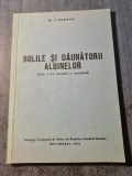 Bolile si daunatorii albinelor I. Ograda