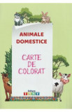 Animale domestice. Carte de colorat