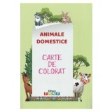 Animale domestice. Carte de colorat