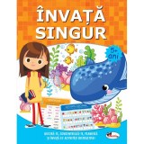 Invata singur. Carte de activitati +5, Aramis