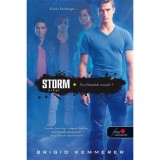 Storm - Vihar - Element&aacute;lok 1. - Brigid Kemmerer