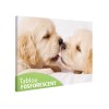 Tablou Fosforescent Iubareti 60x40cm Canvas Decorativ Lumini in Intuneric Tablou Living Dormitor Camera Copii