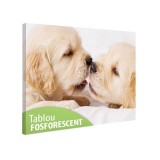 Tablou Fosforescent Iubareti 60x40cm Canvas Decorativ Lumini in Intuneric Tablou Living Dormitor Camera Copii