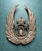 Insigna observator aerian Carol 2 1930 1940 perioada 1930 1940 varianta