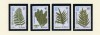 TUVALU -1987-FLORA-Serie completa de 4 timbre MNH, Nestampilat