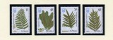 TUVALU -1987-FLORA-Serie completa de 4 timbre MNH