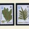 TUVALU -1987-FLORA-Serie completa de 4 timbre MNH