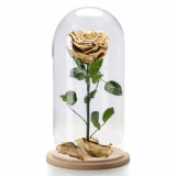 Cumpara ieftin Trandafir Criogenat lux XL auriu &Oslash;6,5cm in cupola 10x20cm