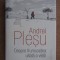 Despre frumusetea uitata a vietii - Andrei Plesu