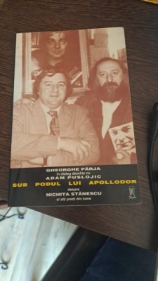 Sub podul lui Apollodor despre Nichita Stănescu și alți poeți din lume de Gheorghe P&amp;acirc;rja foto