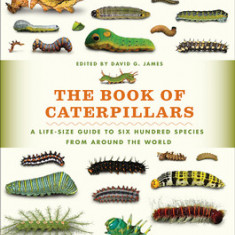 The Book of Caterpillars: A Life-Size Guide to Six Hundred Species from Around the World