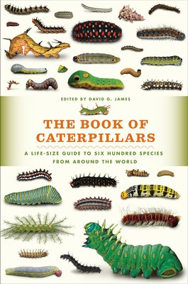 The Book of Caterpillars: A Life-Size Guide to Six Hundred Species from Around the World foto