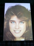 AS 116 - ARTISTI - ACTORI STRAINI - IMAGINE BROOKE SHIELDS, Necirculata, Fotografie