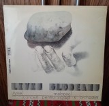 Disc vinil Liviu Glodeanu - Ulysse / Melopee / Concert Pentru Vioară Și Orchestră EX+