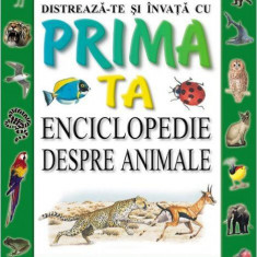 Distrează-te și învață cu prima ta enciclopedie despre animale - Hardcover - Steve Parker - Prut