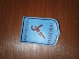 ECUSON SPORTIV ARBITRU HANDBAL RSR