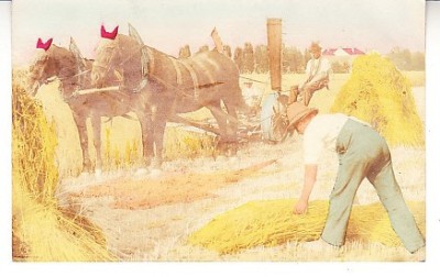 D11 A 20 - Felicitare de colectie - circulata la 1905 - Frankfurt foto