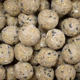 Hrana pasari salbatice 100x90g bulete grasime cu insecte fara plasa, nutritie echilibrata