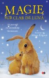 Cumpara ieftin Magie sub clar de Lună. 10 povești cu animăluțe fermecate