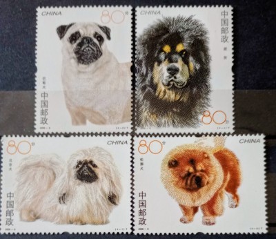 China 2006 c&amp;acirc;ini de rasă chow chow,mops,pechinez,mastif tibetan fauna animale de companie China serie 4v neștampilată foto