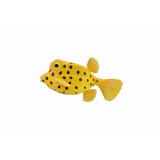 Figurina Peste Cubicus Boxfish S Collecta