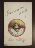 Alice P. Sturdza - &Icirc;nsemnările unei paiațe