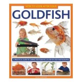 How To Look After Your Goldfish A Practical Guide To Caring For Your Pet In Stepbystep Photographs