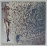 CRETU 1985-2006 de VASILE RADU , ALBUM DE ARTA , ANII &#039;90