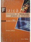Mihaela Chirita - Fizica - Culegere de probleme pentru clasa a XI-a (Editia: 2008)