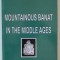 MOUNTAINOUS BANAT IN THE MIDLLE AGES by DUMITRU TEICU , 2002