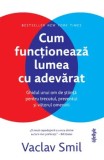 Cumpara ieftin Cum functioneaza lumea cu adevarat. Ghidul unui om de stiinta pentru trecutul, prezentul si viitorul omenirii/Vaclav Smil