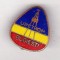 bnk ins Insigna UPETROM Ploiesti