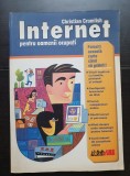 Internet pentru oamenii ocupați - Christian Crumlish