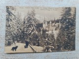 Sinaia- Castelul Peleș iarna.