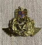 &Icirc;nsemn de coifura/cuc ofițer aviație după 1990 stare foarte bună