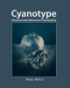 Cyanotype: Historical and Alternative Photography