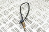 Senzor de temperatură BMW 3 F30, F80 2015 OEM: 265600-1902,7805606,7543312 14566065