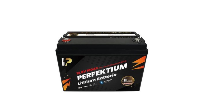 Perfektium Baterie LiFePO4 PB 100Ah 12.8V 1280Wh Litiu-fosfat BMS inteligent cu Bluetooth