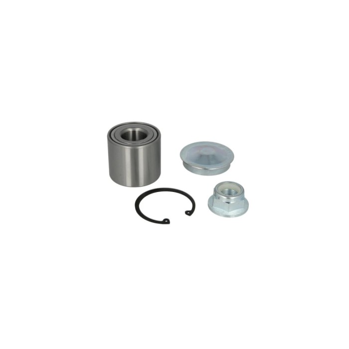 Set rulment roata RENAULT SC&iuml;&iquest;&frac12;NIC II JM0 1 BTA H2R042BTA